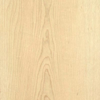 maple