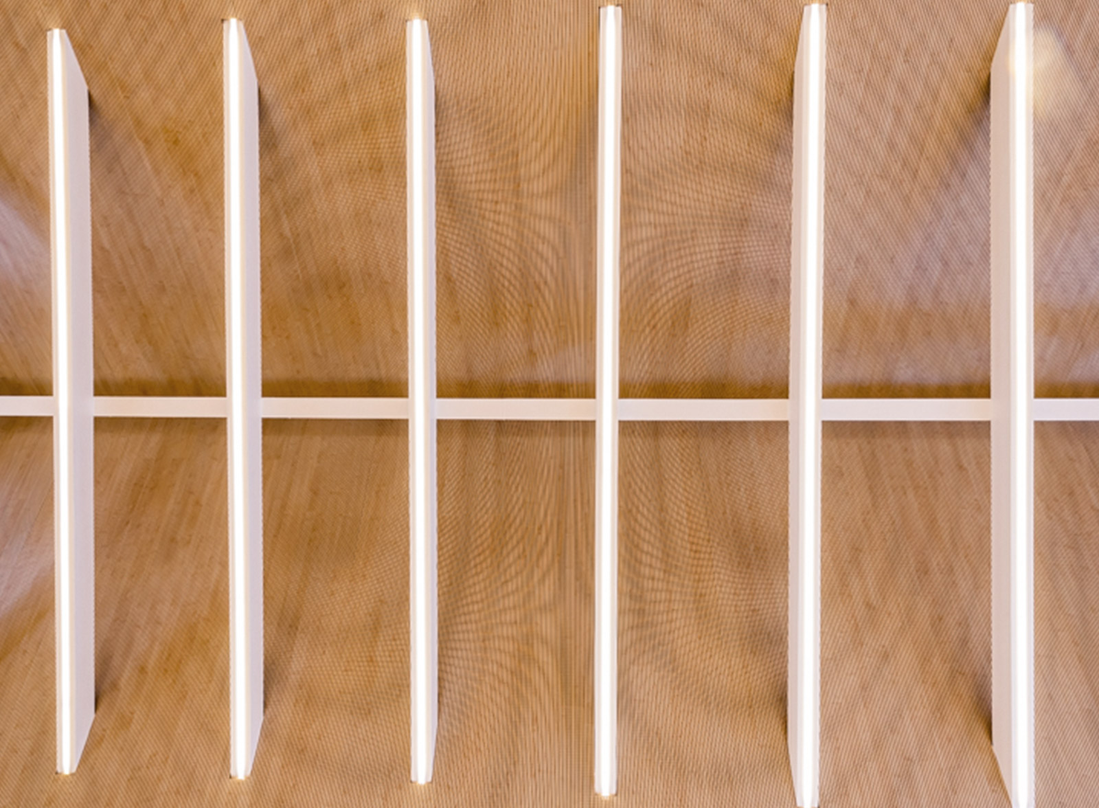 Ideatec proyect imibalaballet