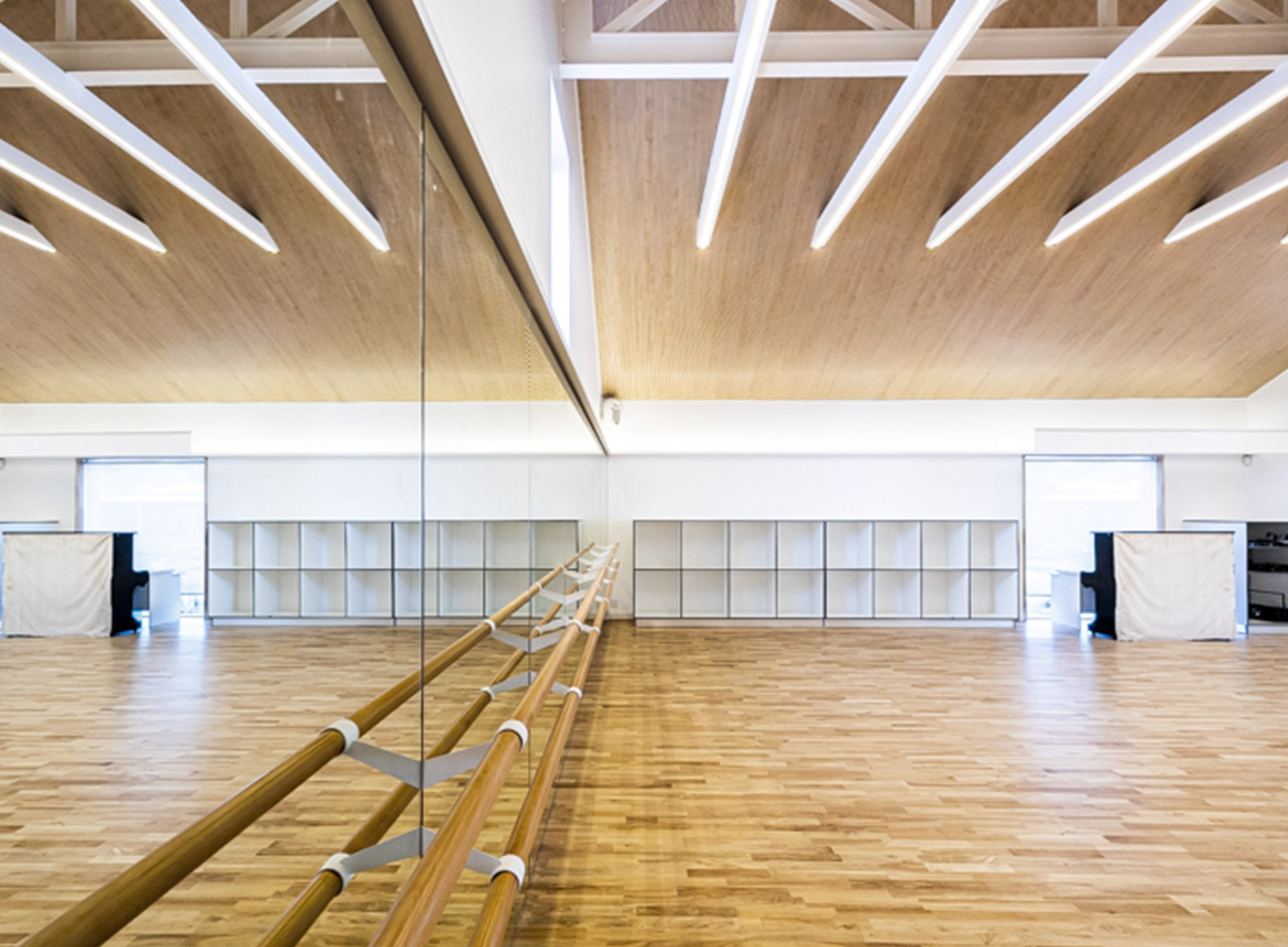 Ideatec proyect imibalaballet