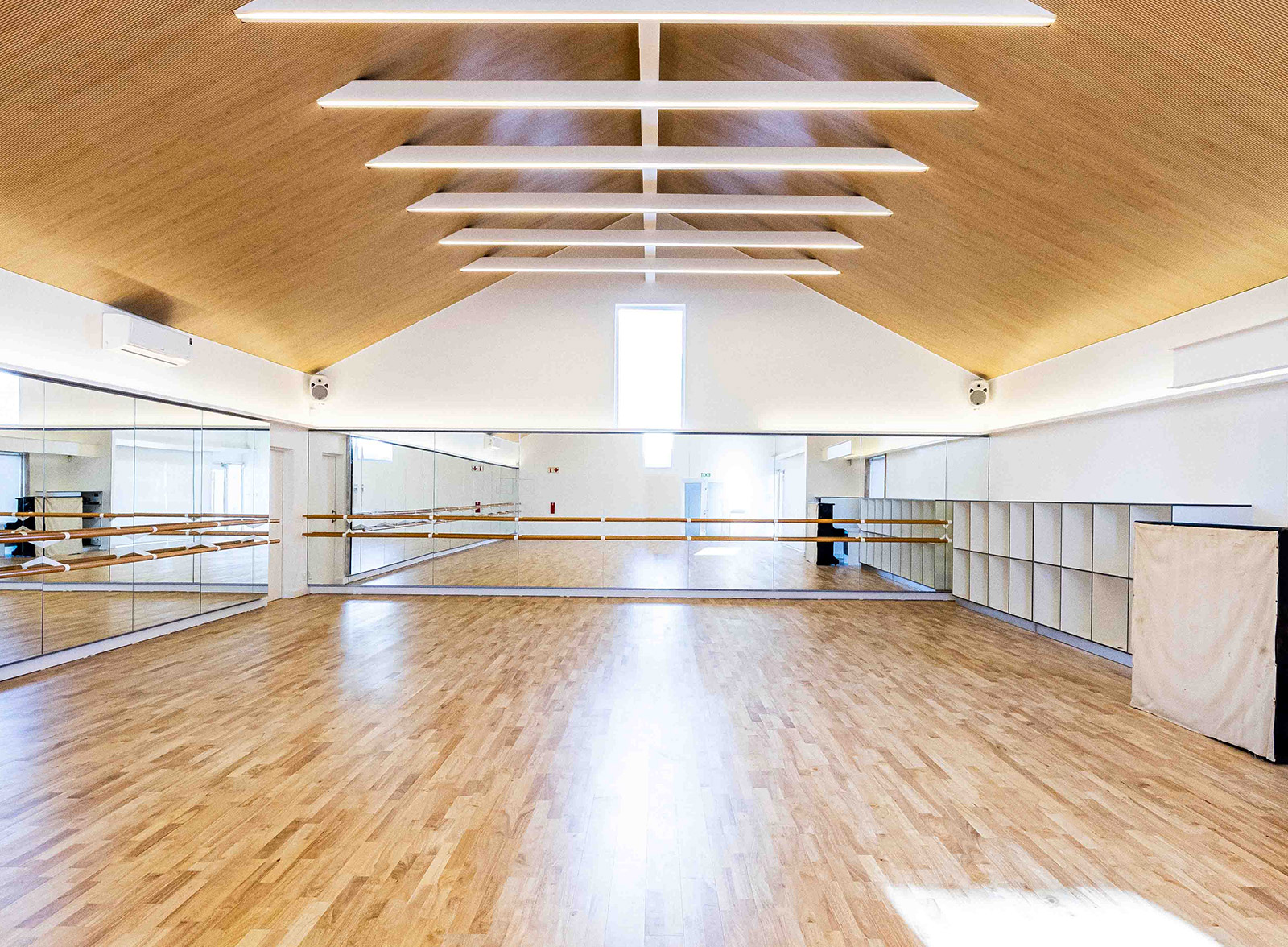 Ideatec proyect imibalaballet