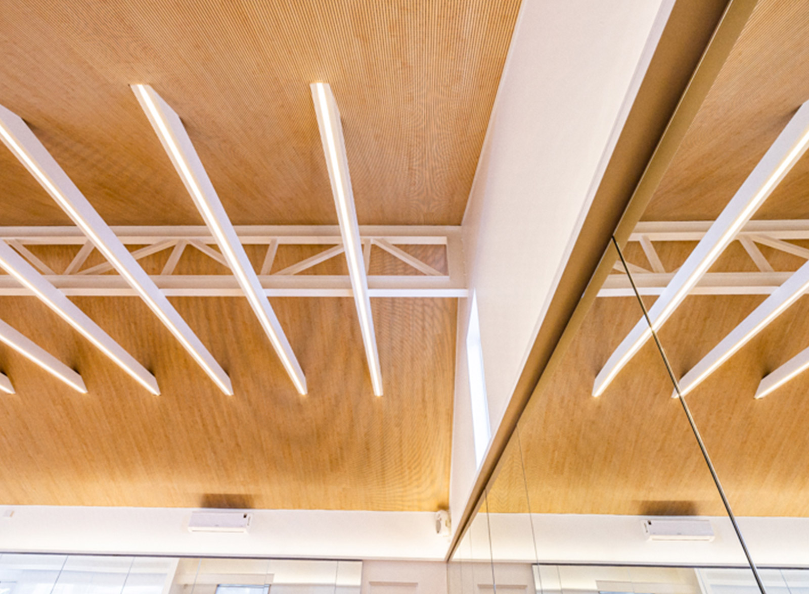 Ideatec proyect imibalaballet