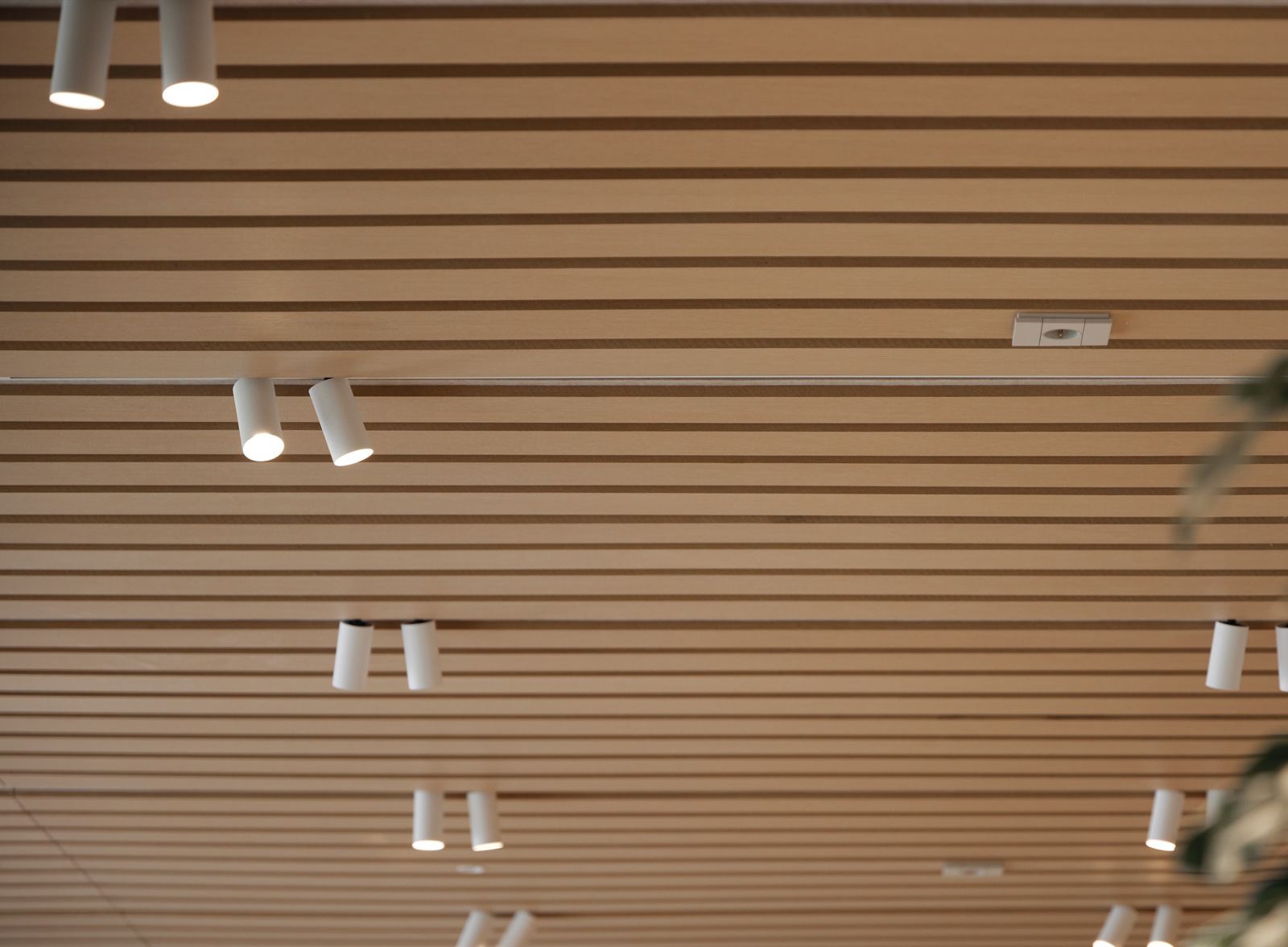 Showroom José Martínez Medina