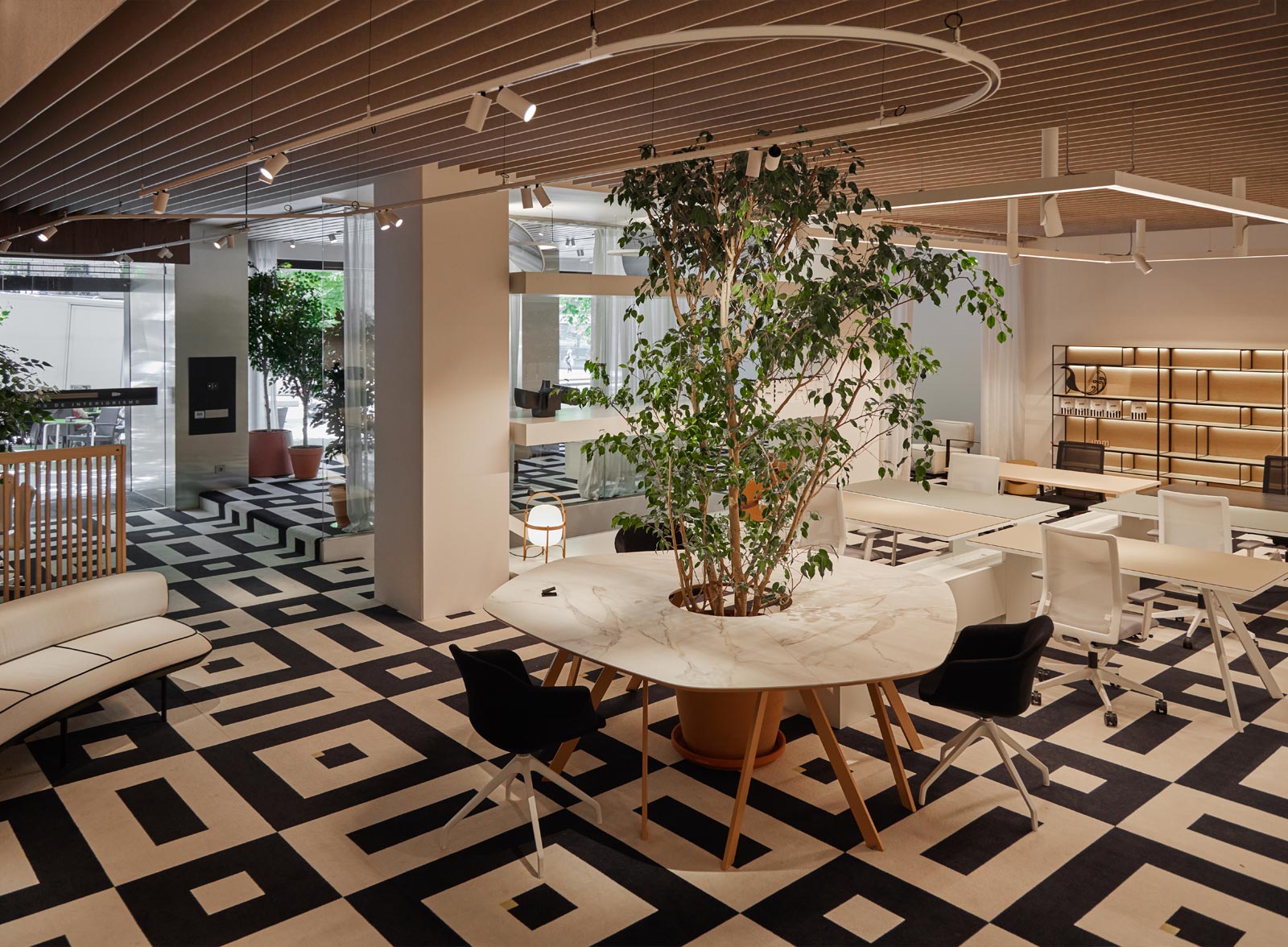 Showroom José Martínez Medina